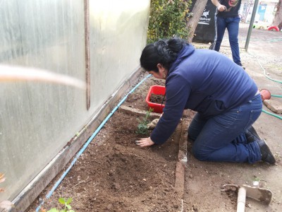 Mantenciòn del invernadero junto a las familias